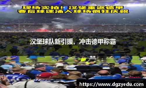 汉堡球队新引援，冲击德甲称霸